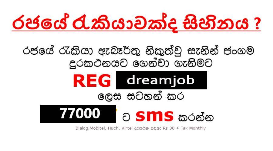 job vacancies in sri lanka