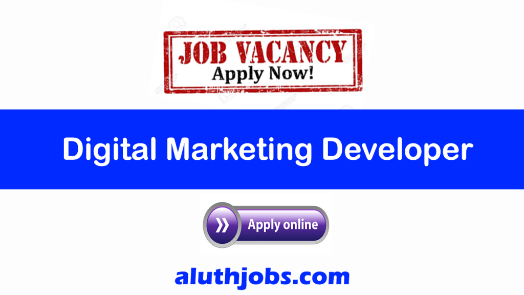 Digital Marketing Developer