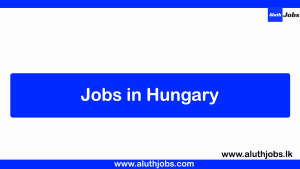 Job opportunities in hungary for foreigners